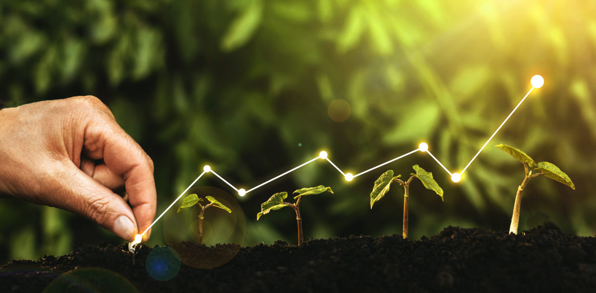 Local SEO for Restaurants