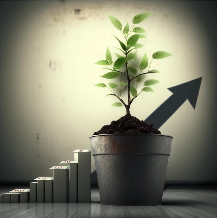 SEO For Cannabis Industry Websites